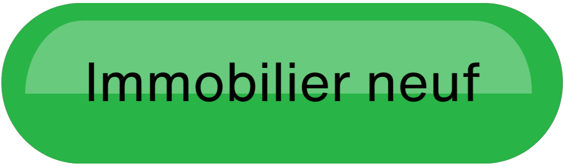 Immobilier neuf